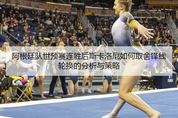 a-gen-ting-dui-shi-yu-sai-lian-sheng-hou-si-ka-luo-ni-ru-he-qu-she-feng-xian-lun-huan-de-fen-xi-yu-ce-lve-2-434.jpg